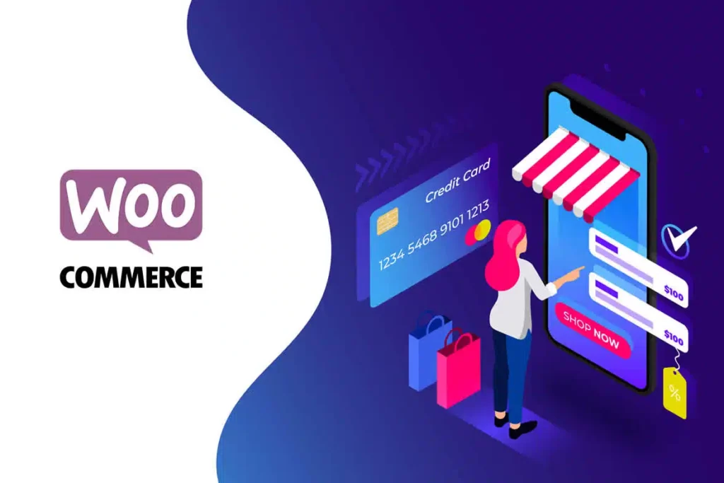 WooCommerce: A Importância e Vantagens do Uso do Pix na Plataforma em 2024